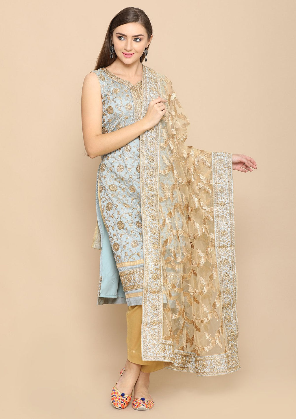 Light Grey and gold salwar suit