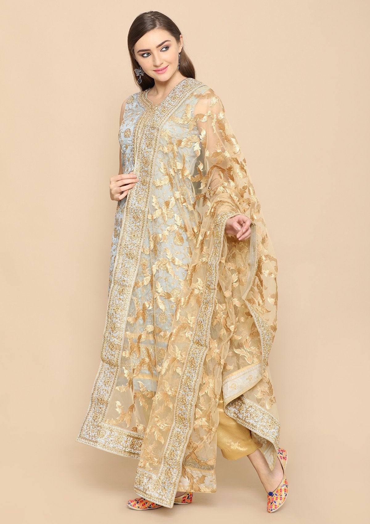 Light Grey and gold salwar suit