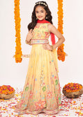 Biege Chinnon Lehenga