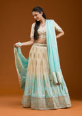 Off White Zariwork Banarasi Readymade Lehenga