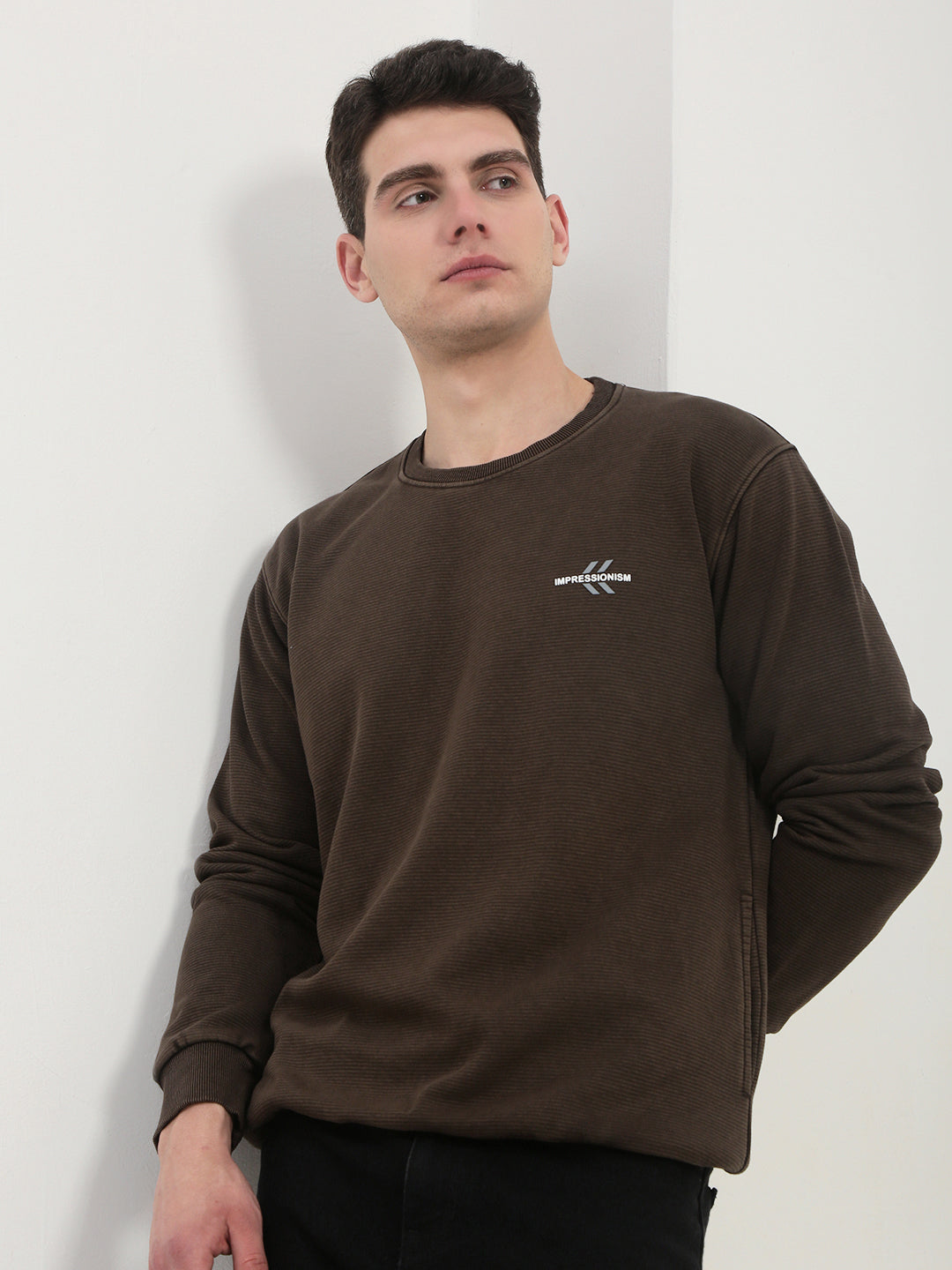 Men's Brown Solid Sweatshirt