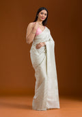 Off White Zariwork Georgette Saree
