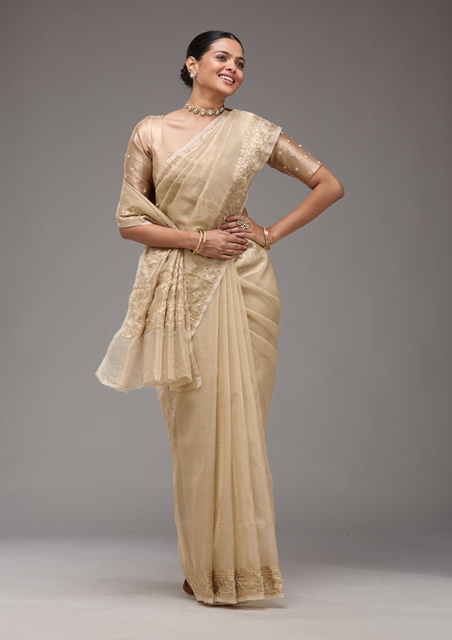 Beige Zariwork Tissue Saree