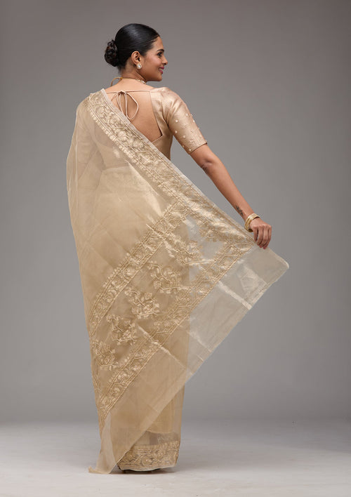 Beige Zariwork Tissue Saree