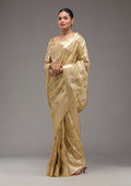 Gold Zariwork Tissue Saree