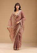 Brown Gold Zariwork Tissue Saree