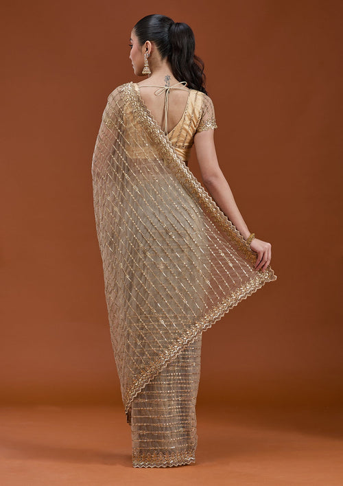 Beige Sequins Net Saree