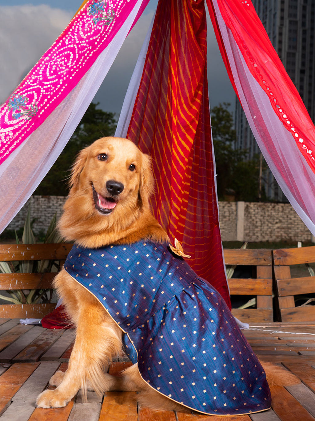 Dogs' Blue And Gold Silk Blend Dress
