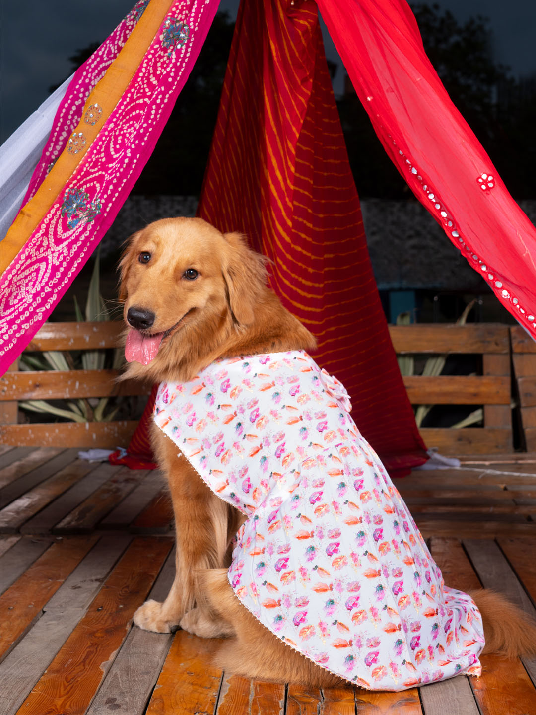Dogs' White Abstract Printed Cotton Blend Dress