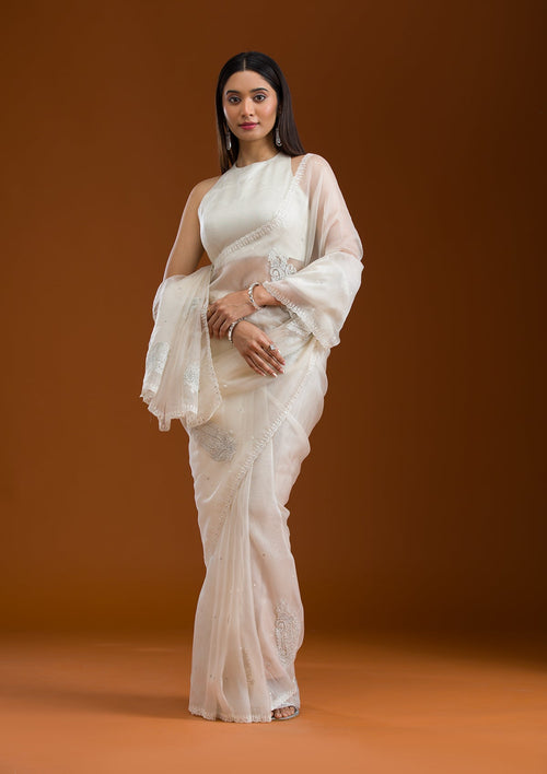 Beige Silver Zariwork Tissue Saree
