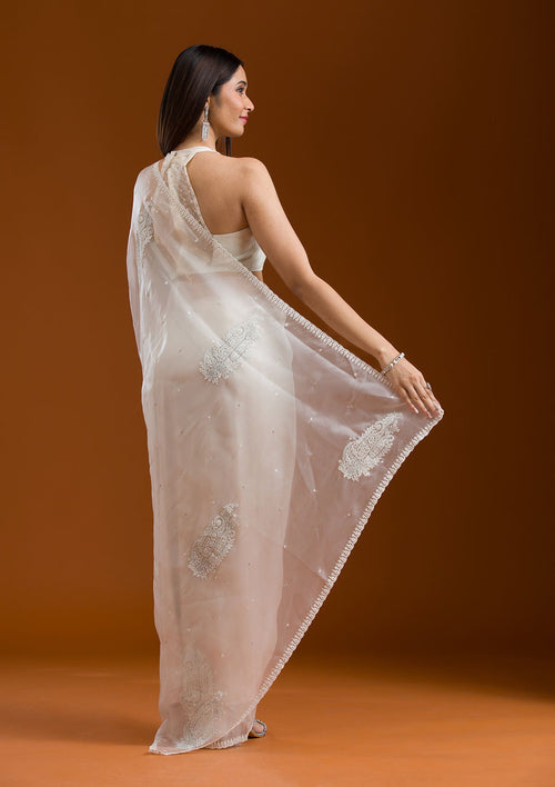 Beige Silver Zariwork Tissue Saree