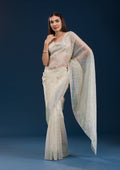 Beige Stonework Tissue Saree