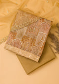 Light Brown Sequins Organza Unstitched Salwar Suit
