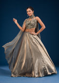 Mehendi Stonework Tissue Readymade Lehenga