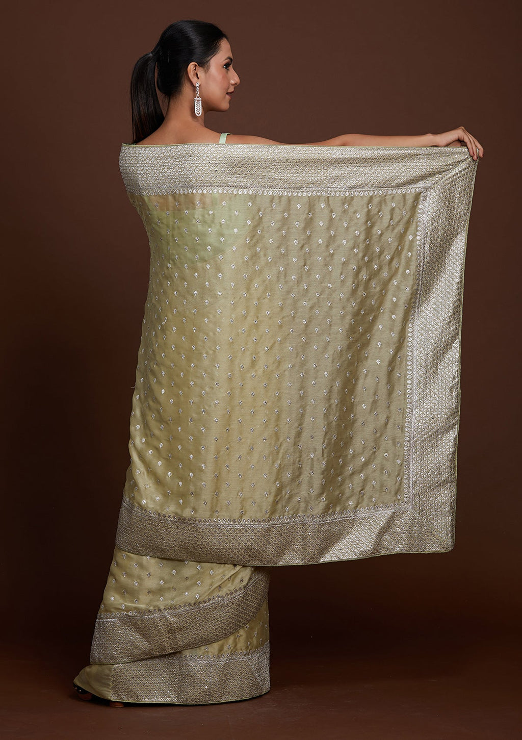 Pista Green Zariwork Semi Crepe Designer Saree
