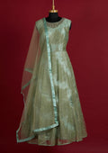 Pista Green Glitter Net Designer Gown