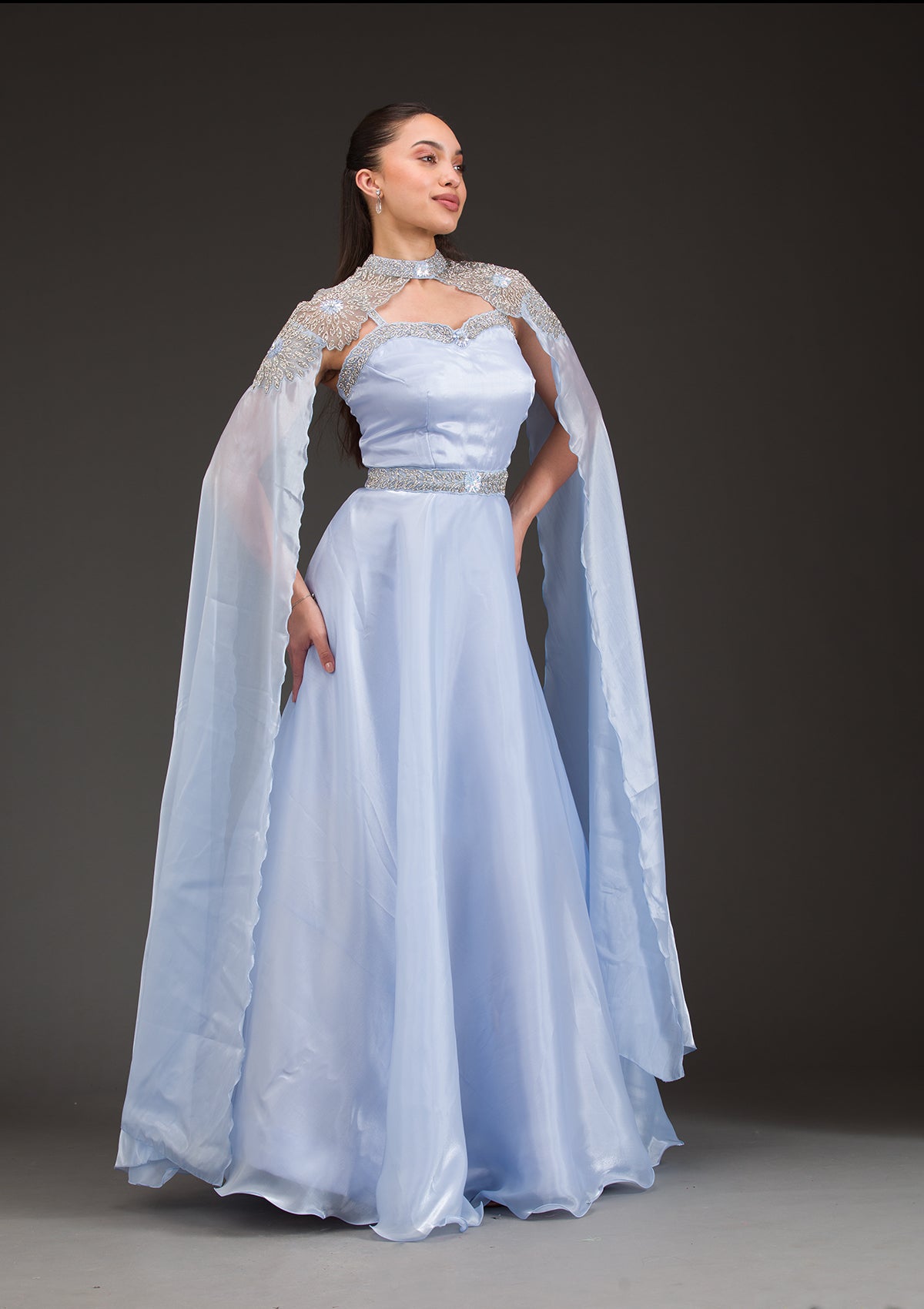 Sky Blue Silver Stonework Net Gown