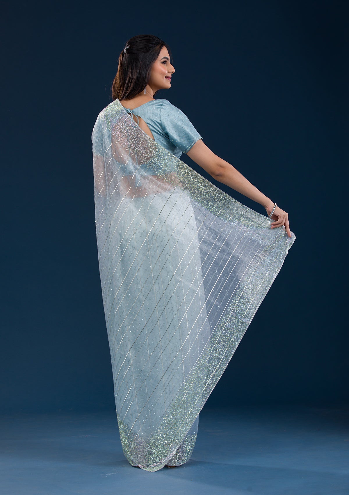 Sky Blue Stonework Tissue Saree